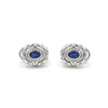 Ladies 14K White Gold Sapphire and Diamond Omega Back Earrings