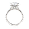 Michael M CROWN 18K White Gold Engagement Ring R799-3