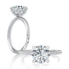 A.JAFFE Hidden Halo Round Engagement Ring with Pave Band MECRD2569/122