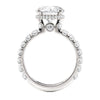 Michael M CROWN Round Center Diamond Engagement Ring R793-3